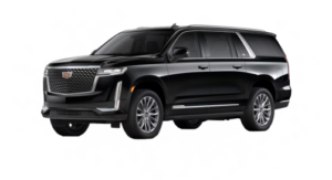 First Class SUV Fleet