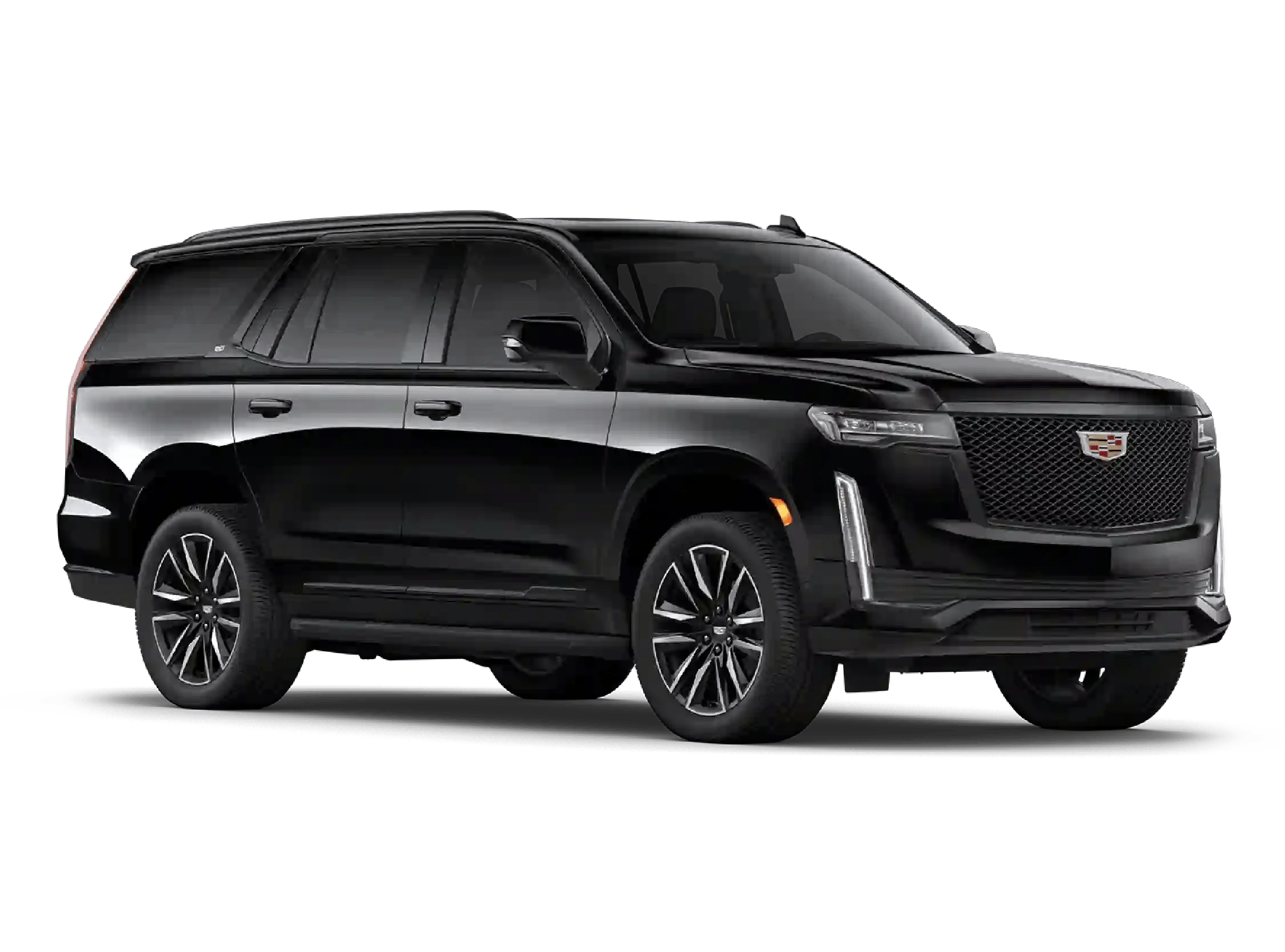 First Class SUV Fleet