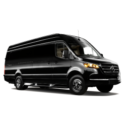 VIP LIMO VAN Fleet