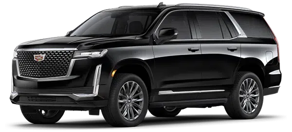 Executive SUV Fleet