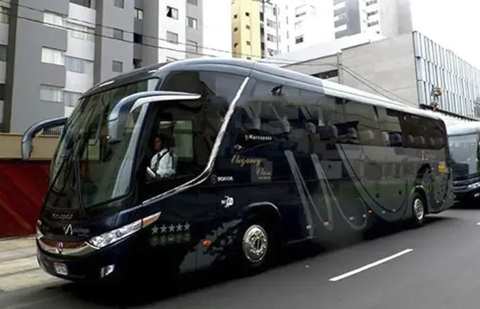 BUSES / COACHES TURISMO & EJECUTIVOS Fleet