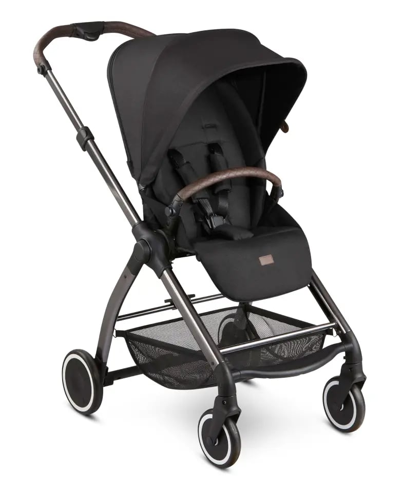 Stroller Rentals