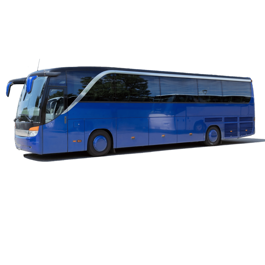 Mega bus Fleet