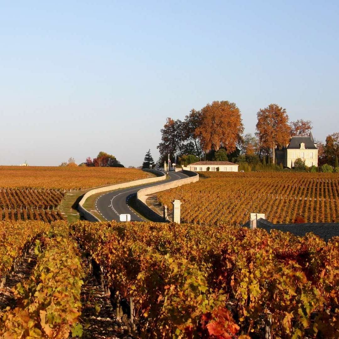 Sightseeing Tours – Wine Tours