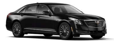 Executive Sedan Fleet
