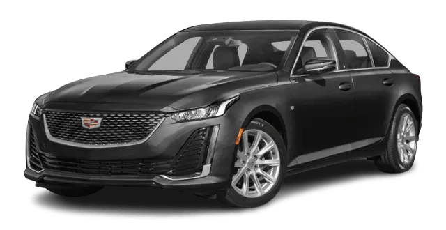 Executive Sedan Fleet