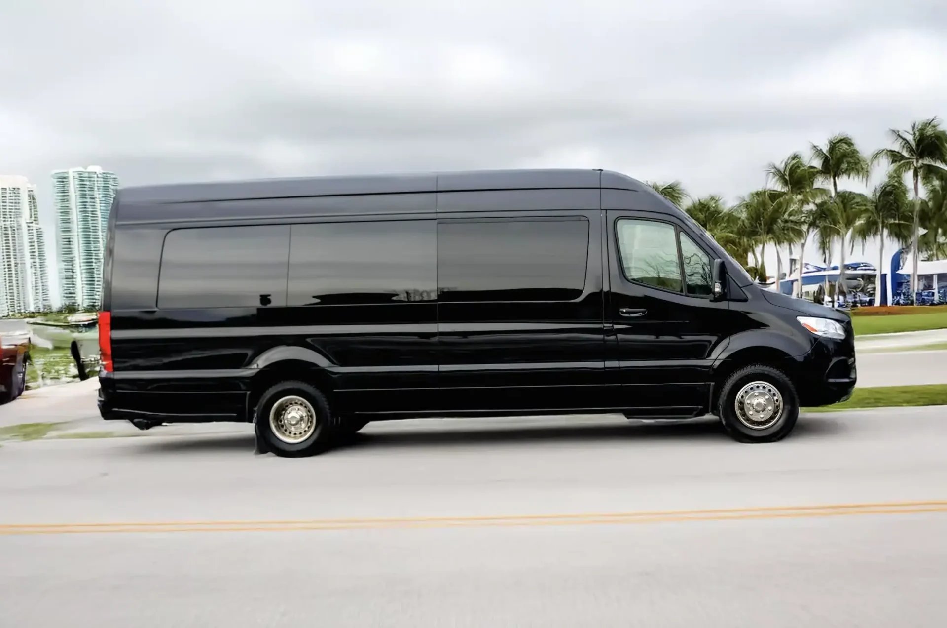 MERCEDES PARTY SPRINTER LIMO VAN Fleet