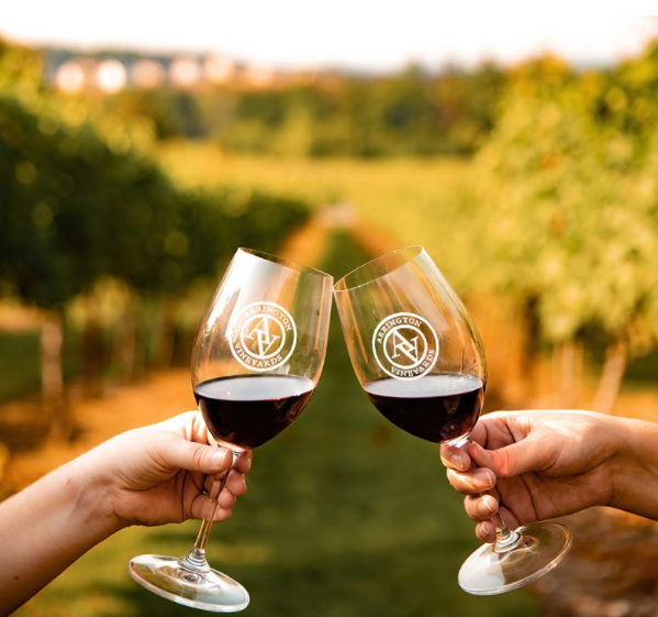 Wine Tours 10ppl