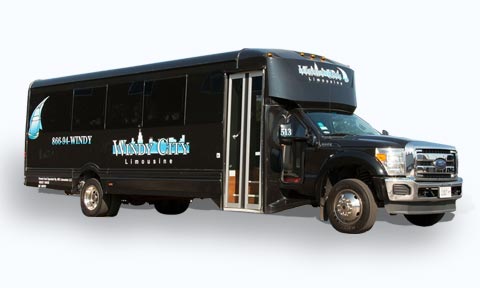 25 Passenger Party Bus Fleet