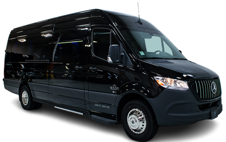 LIMO SPRINTER Fleet