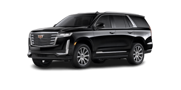 Cadillac Escalade SUV Fleet