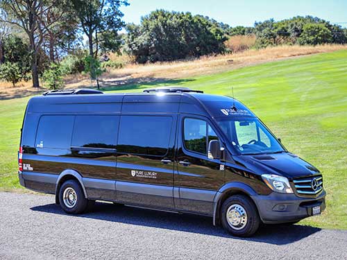 12 passenger executive sprinter van Fleet