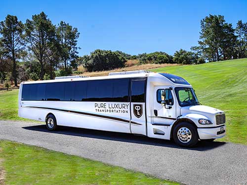 46 passenger luxury motor coach Fleet