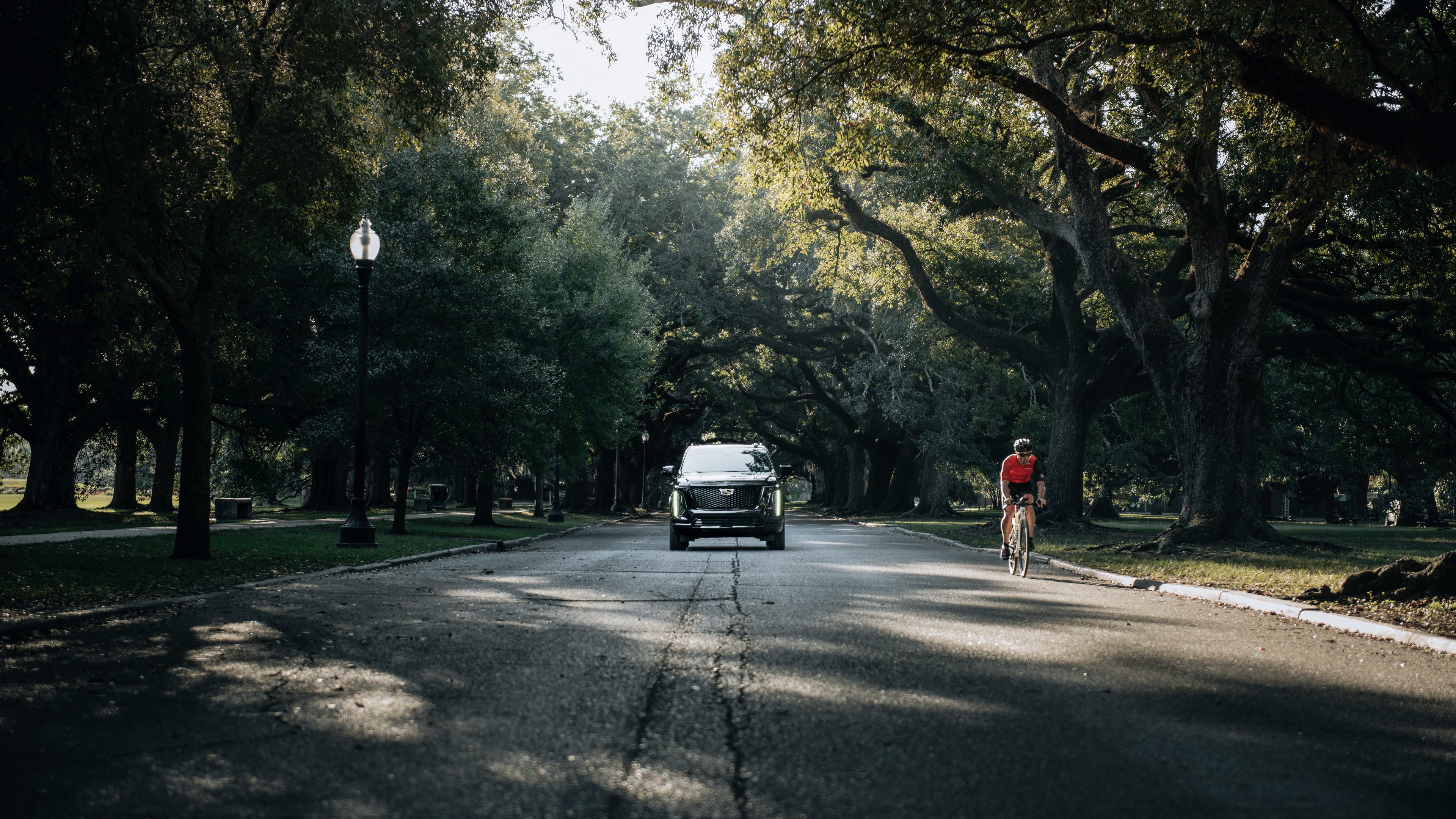 Southern Chauffeur - SUV Fleet