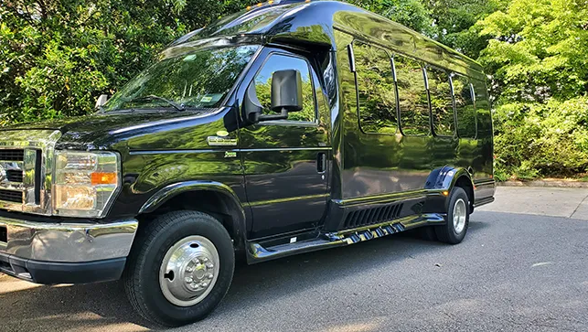 Ford Limousine Mini Bus Fleet