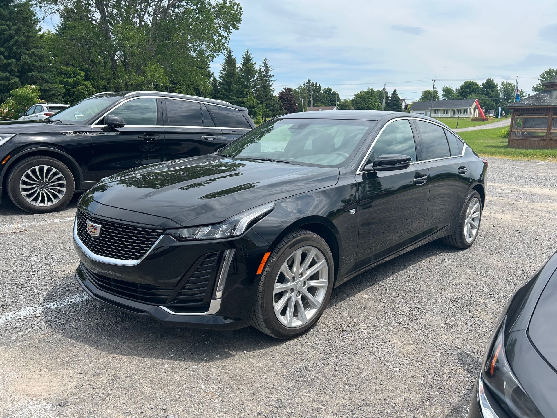 Business Sedan Fleet