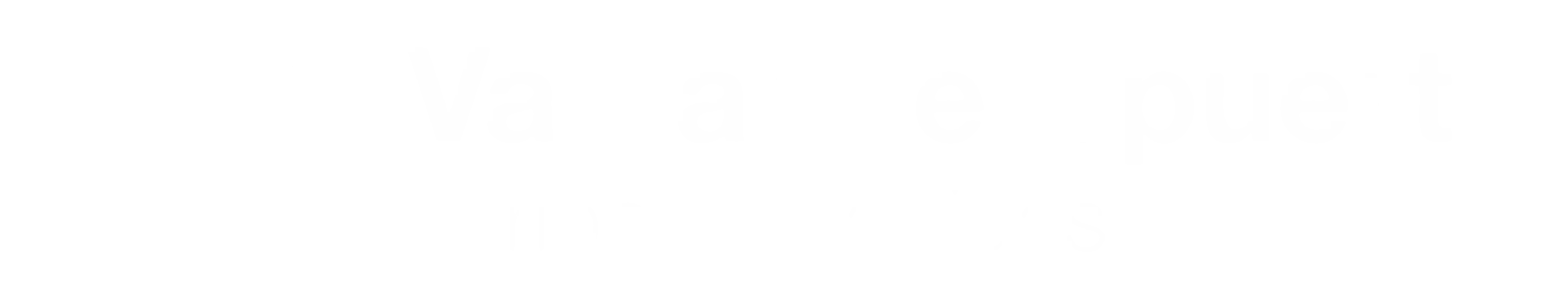 Van Al Aeropuerto España