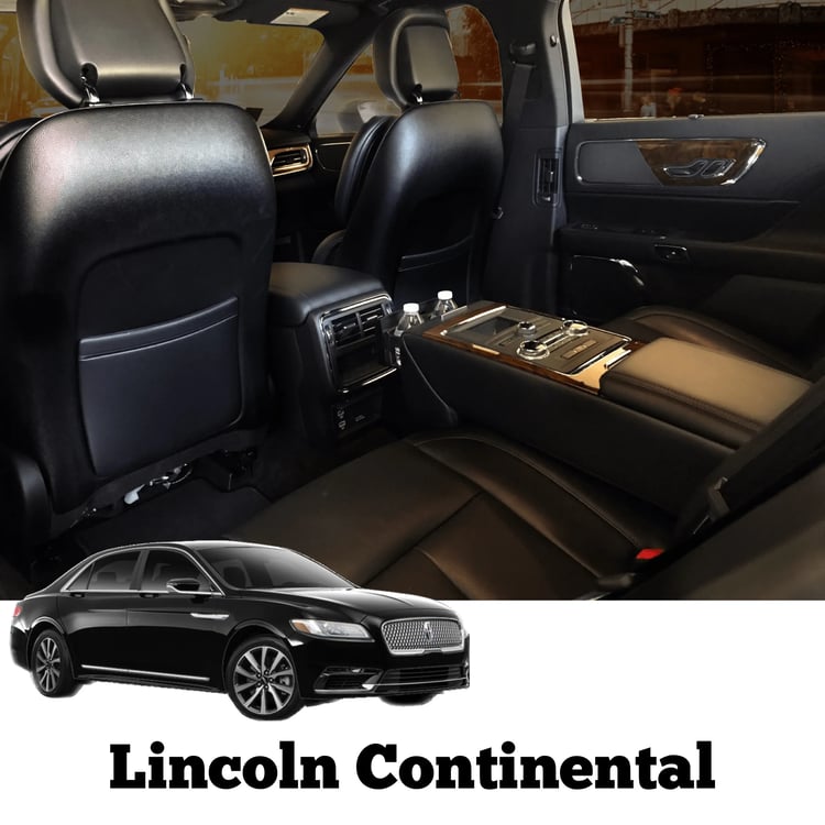 Limousine Fleet