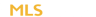 Modern Limousine Service